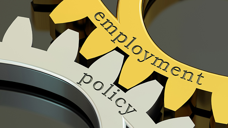 Employment Policies